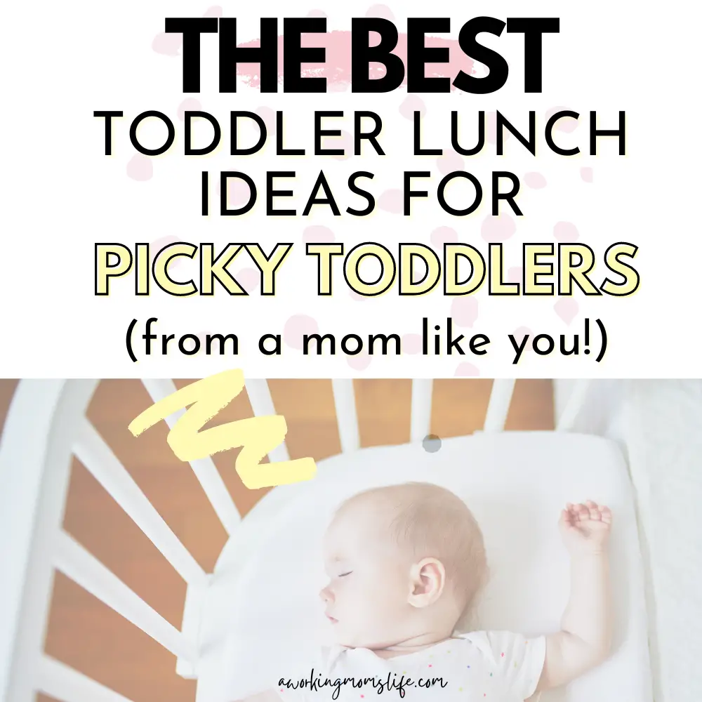 picky toddler lunch ideas