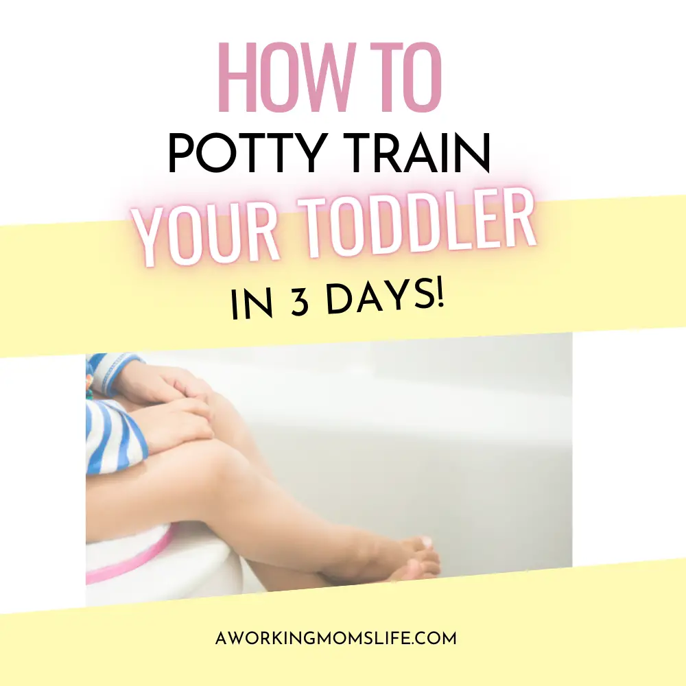 potty train baby